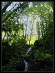 Paradise Lost Paradise Lost