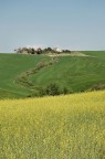 Colline Toscane