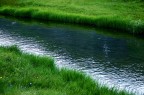IN MEZZO SCORRE...IL FIUME IN MEZZO SCORRE...IL FIUME