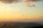 Verso casa al tramonto Verso casa al tramonto