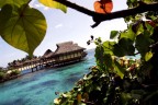moorea