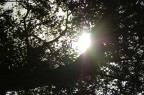 oltre il sole oltre il sole