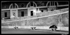 ...solitudine ...solitudine