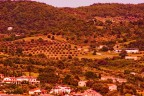 Panorama Panorama
