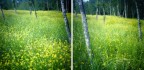 Trees Trees