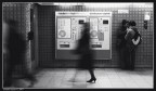 underground in love underground in love
