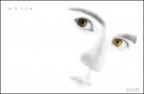 White White