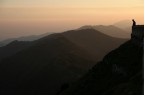 dedicato... dedicato...