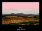 colline toscane