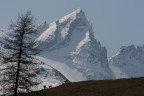 Trekking Foto-Naturalistico al Parco Nazionale del Gran Paradiso