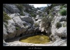 Cuor di Sardegna Cuor di Sardegna