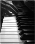 la mano del pianista la mano del pianista