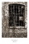 Entangle