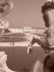 Galoppo su Schonbrunn Galoppo su Schonbrunn