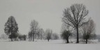 colore o bianco-nero colore o bianco-nero