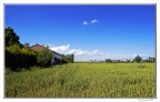 L'ampio respiro.... della campagna L'ampio respiro.... della campagna