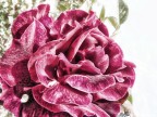 Fiore 3 Fiore 3