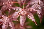 fresh_3 fresh_3