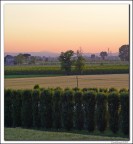 RosaAzzurro........romagnolo