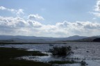 Lago. . O. . Palude? Lago. . O. . Palude?