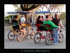 Il richiamo dell'amore Il richiamo dell'amore