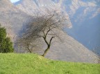 la Quiete la Quiete