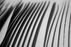 Onde di carta Onde di carta