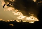 In volo al tramonto In volo al tramonto