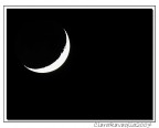 E' una notte in Italia che vedi..... questo taglio di luna.. E' una notte in Italia che vedi..... questo taglio di luna..