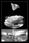 Decadence#2 Decadence#2