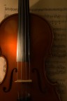 Violino Violino