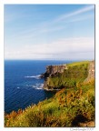 The Cliffs of Insanity (Moher) The Cliffs of Insanity (Moher)