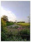I colori della sera.............sulla via di casa I colori della sera.............sulla via di casa