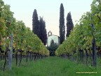 Vigneti e chiesette sono frequenti nella campagna Toscana.