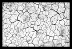 ground ground
