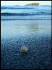 Nel blu Nel blu