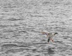 movimento? movimento?