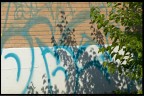 non solo graffiti non solo graffiti