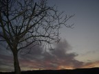 Tramonto nel mio giardino Tramonto nel mio giardino