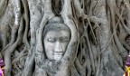 forza della natura forza della natura