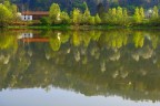 Riflessi Riflessi