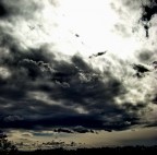 La pace dopo la tempesta Cap.2