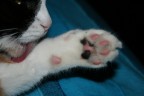 ..doccia.. ..doccia..