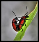 Al centro dell'attenzione