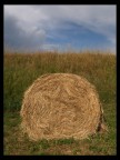 Covone di fieno...