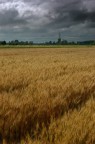Il temporale si avvicina Il temporale si avvicina