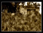Una vecchia cascina abbandonata nel mezzo del Monte Somma.
L'ho invecchiata in pw. 
Suggerimenti e critiche attese