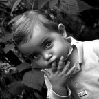 Un lampone da leccarsi le dita