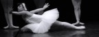 Il Cigno# Il Cigno#