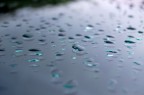 H2O H2O
